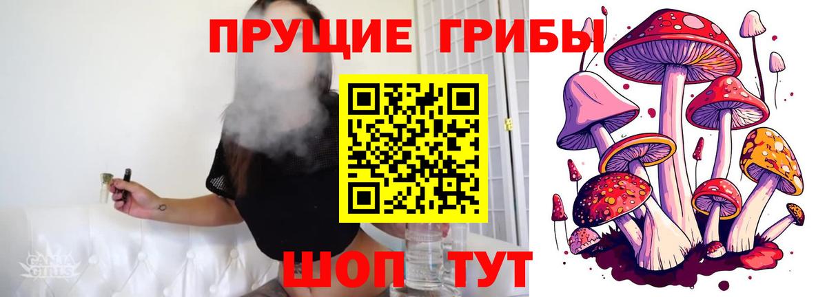 Ростов Великий  Псилоцибиновые грибы мухоморы  Вход с VPN 
